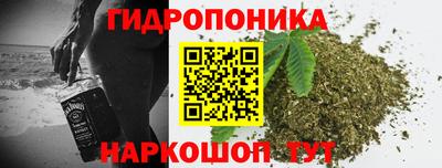 гидра Гусев